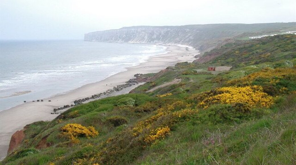 Boat Cliff, Reighton Looking east-southeast towards Reighton Gap and Speeton Sands from the cliff top at Reighton Moor.