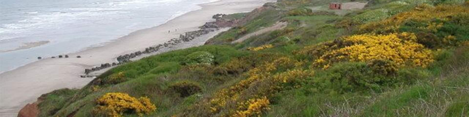 Boat Cliff, Reighton Looking east-southeast towards Reighton Gap and Speeton Sands from the cliff top at Reighton Moor.