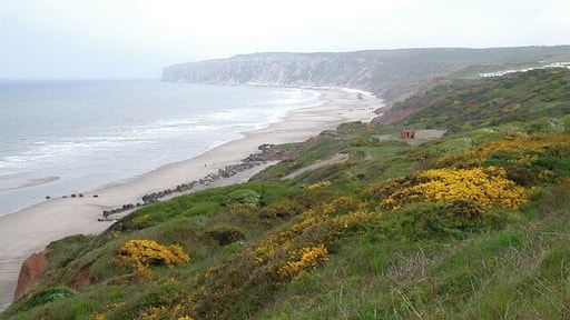 Boat Cliff, Reighton Looking east-southeast towards Reighton Gap and Speeton Sands from the cliff top at Reighton Moor.