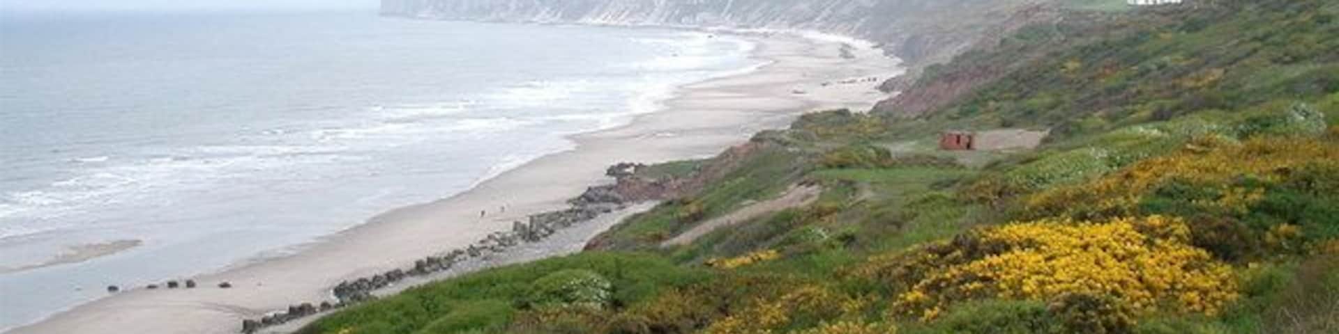 Boat Cliff, Reighton Looking east-southeast towards Reighton Gap and Speeton Sands from the cliff top at Reighton Moor.