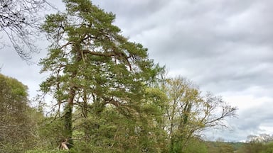 Just down from the castle