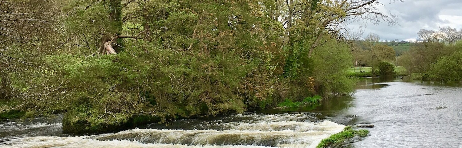 A river with a waterfall, surrounded by dense trees and a cloudy sky.