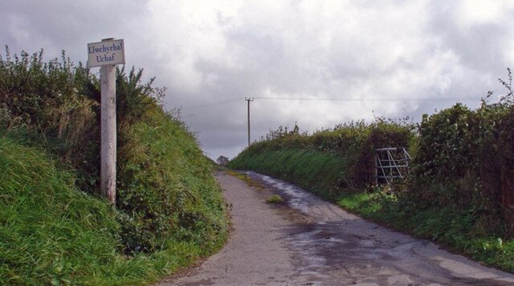 Track to Llwch-yr-hâl Uchaf, Llandyfrïog