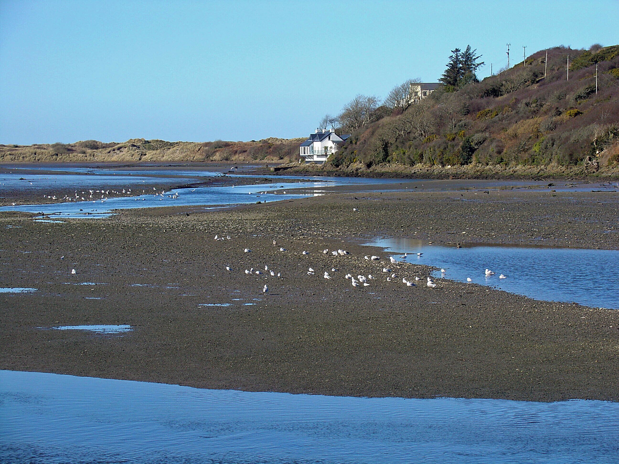 Nyfer Estuary from Newport Bridge