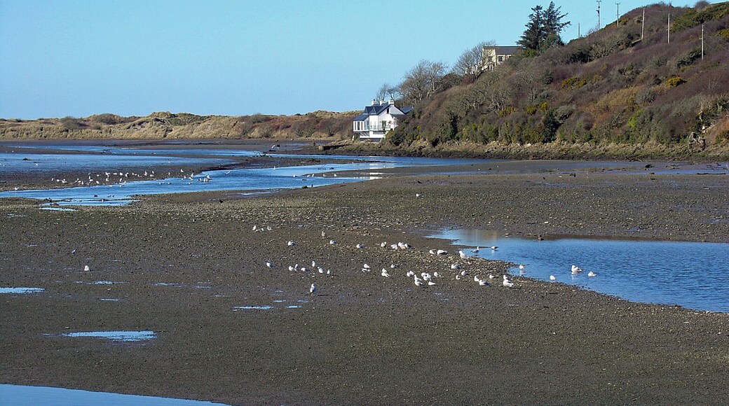 Nyfer Estuary from Newport Bridge