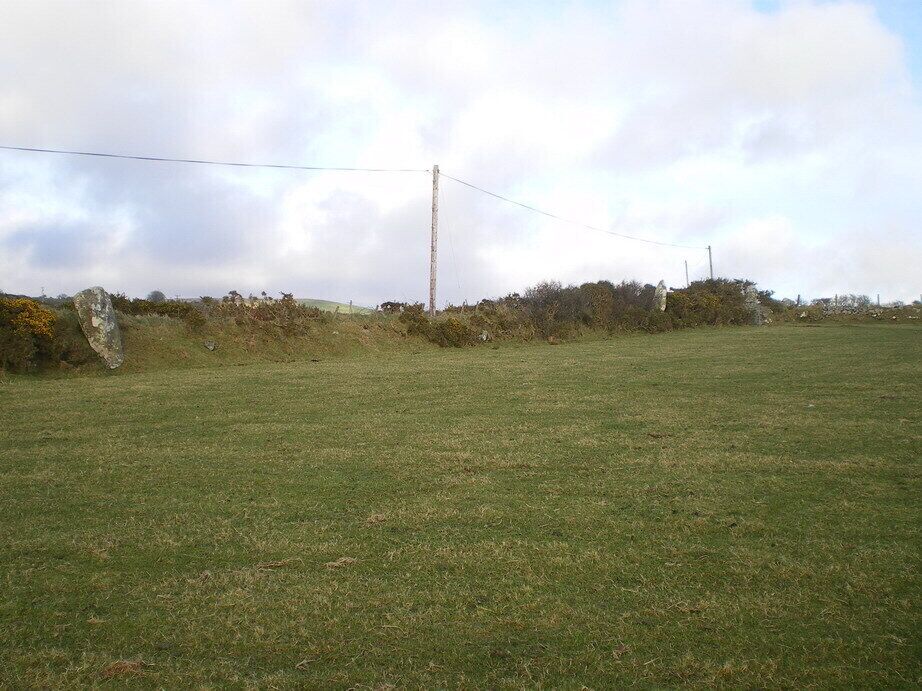 Three stones at Parc-y-Meirw. These 3 stones are visible in the hedgebank from the field at the side of the road; another lies in the bottom of the bank and has been pictured in 703916