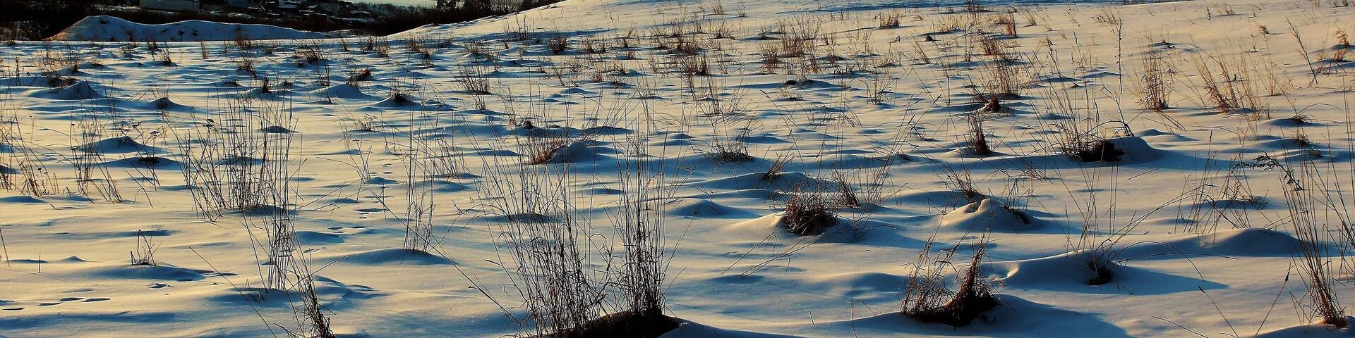 High Tatras Mountains at sunset! This was taken from the village of VeÄŸkĂĄ Lomnica. I was heading back to Poprad and decided to get out at the StudenĂœ potok station. As the mountain views were breathtaking. And had to get a closer look and take many photos! I walked some in the thick snow, getting as good of views as I could! They were epic views! And one of my favorite moments in Slovakia!