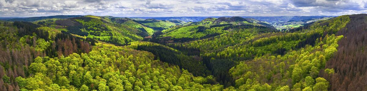 the rothaargebirge mountains in germany spring panorama