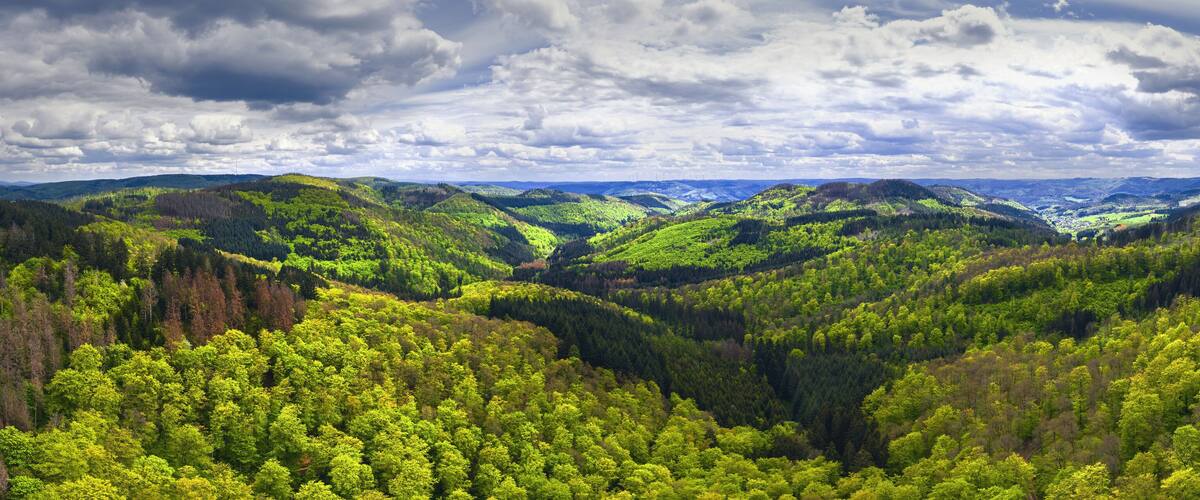 A lush valley with dense green forests and rolling hills under a cloudy sky.