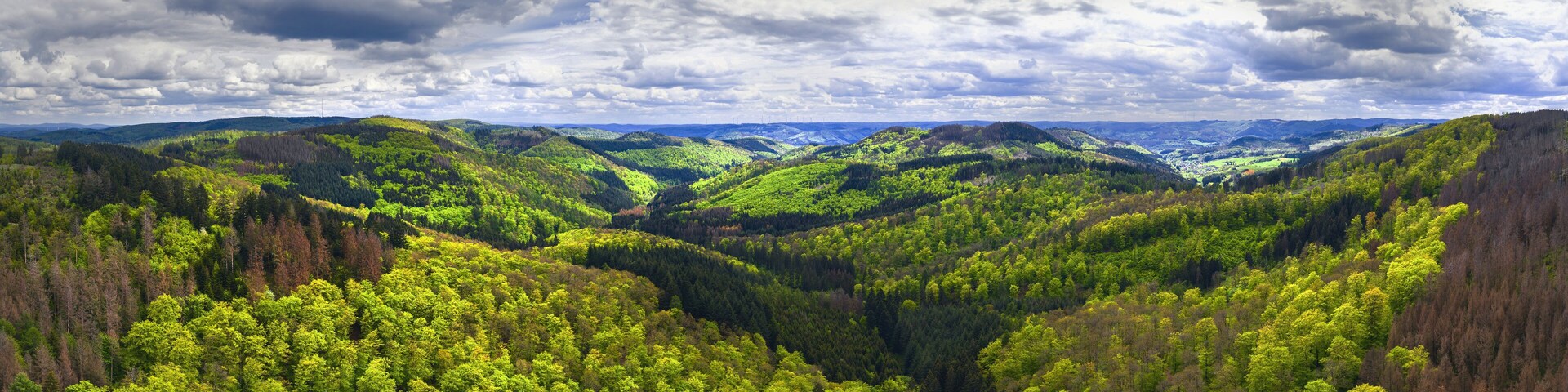 A lush valley with dense green forests and rolling hills under a cloudy sky.