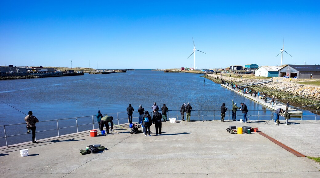Angeln in Hvide Sande