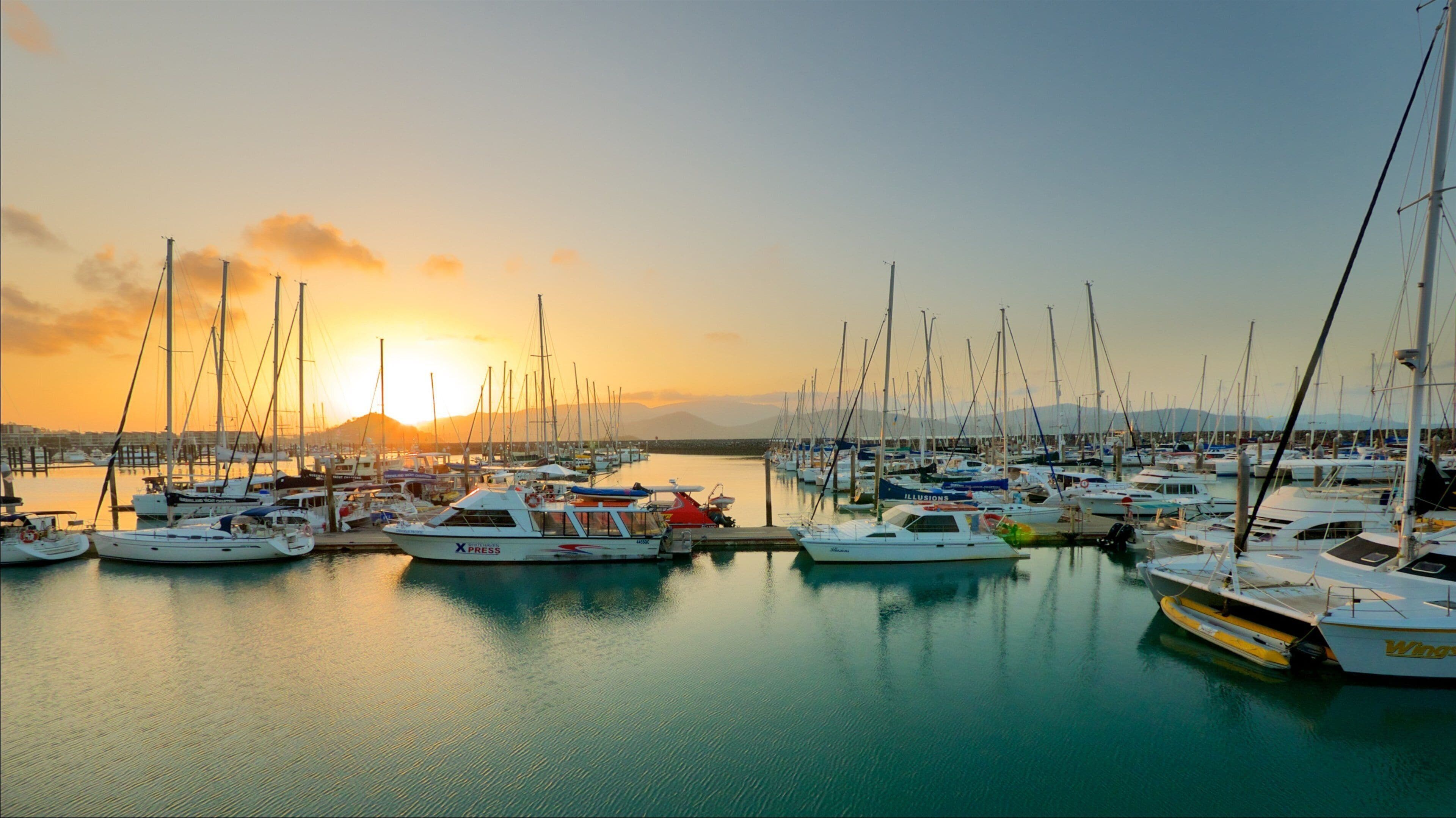 A marina with multiple sailboats docked at sunset.