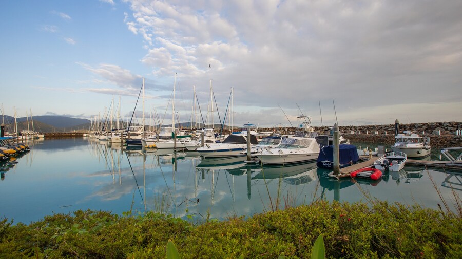 Coral Sea Marina featuring a bay or harbor