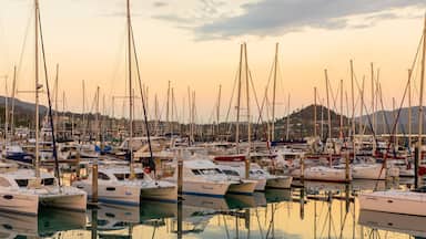 Coral Sea Marina featuring a bay or harbor and a sunset