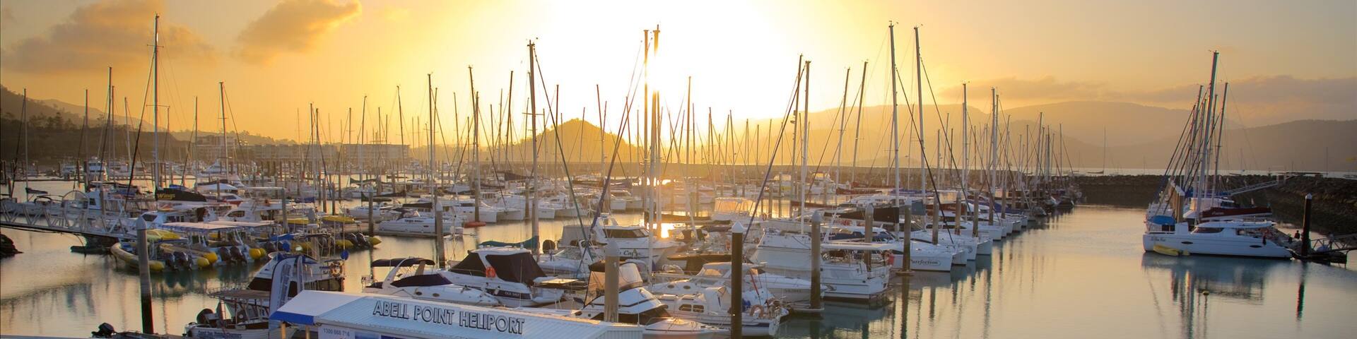 Abell Point Marina montrant coucher de soleil, baie ou port et voile