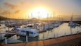 Abell Point Marina showing a sunset, sailing and boating