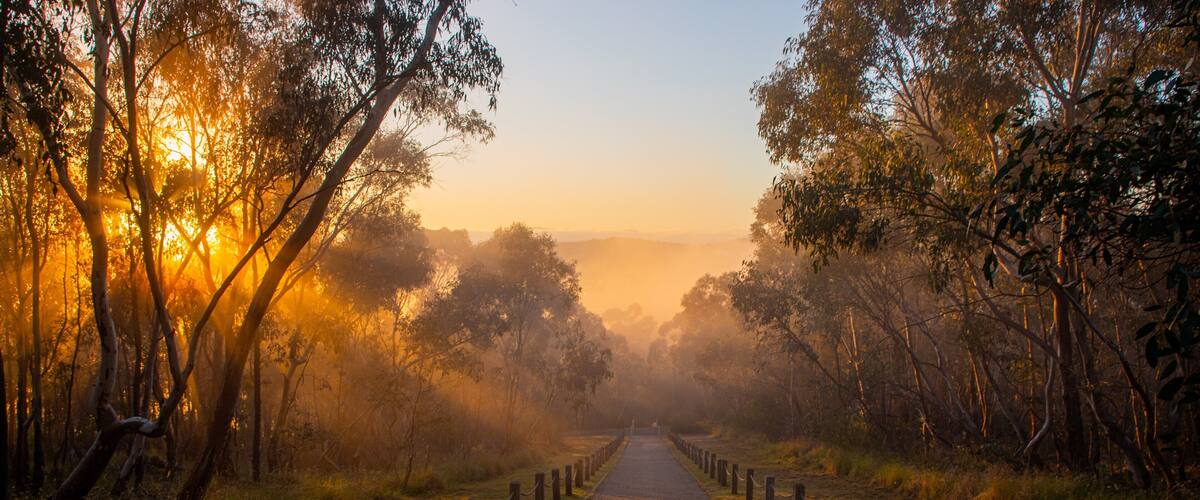 Monument Hill which includes a park, forest scenes and a sunset