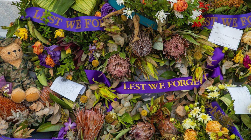 Monument Hill which includes flowers