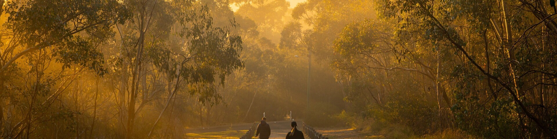 Albury featuring a park and a sunset