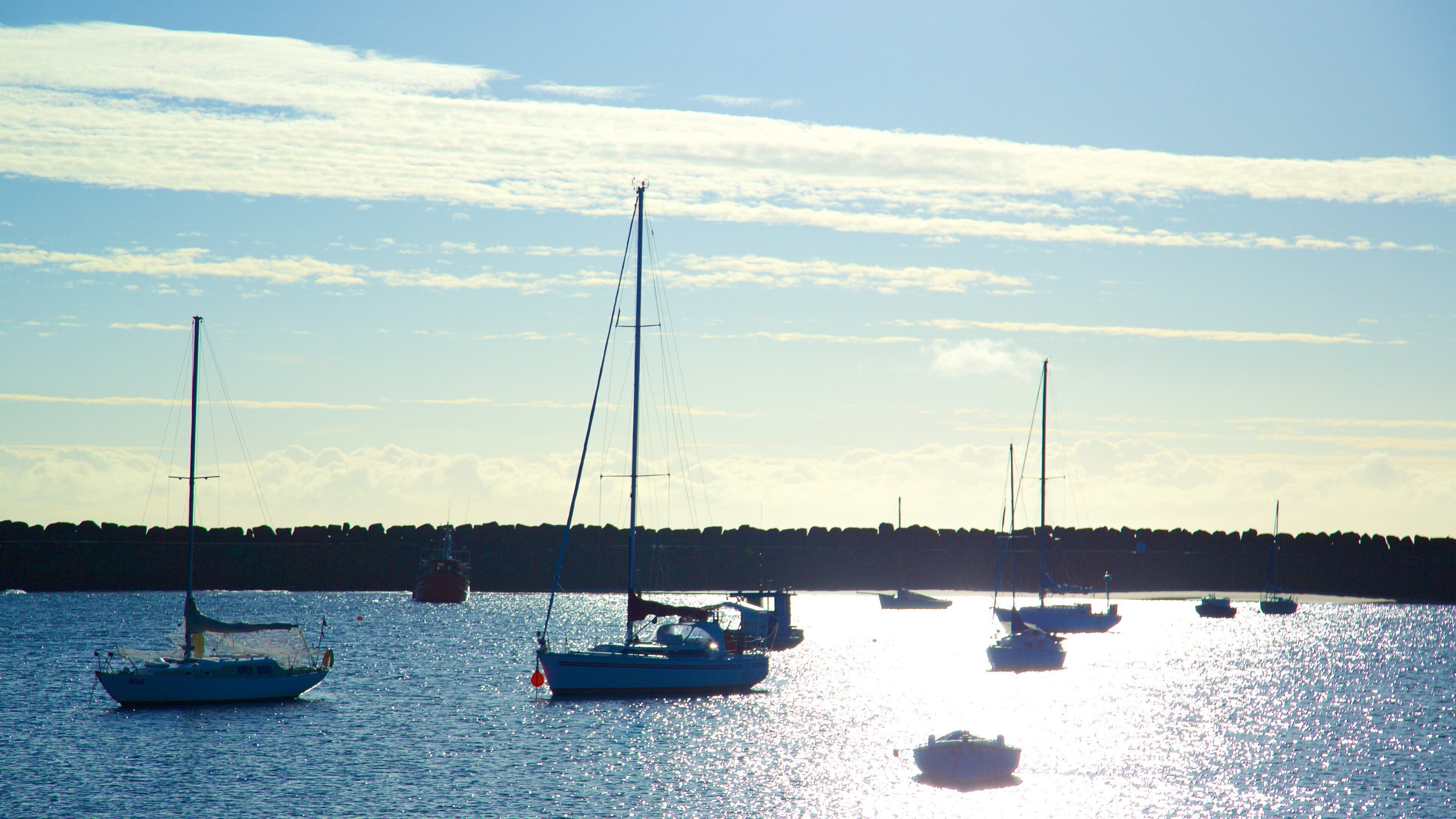 Apollo Bay Harbour which includes sailing and general coastal views