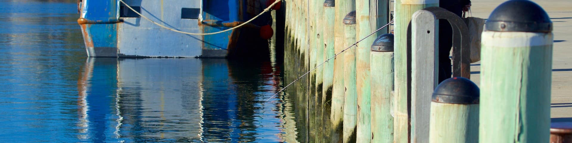 Apollo Bay Harbour showing a marina, fishing and boating