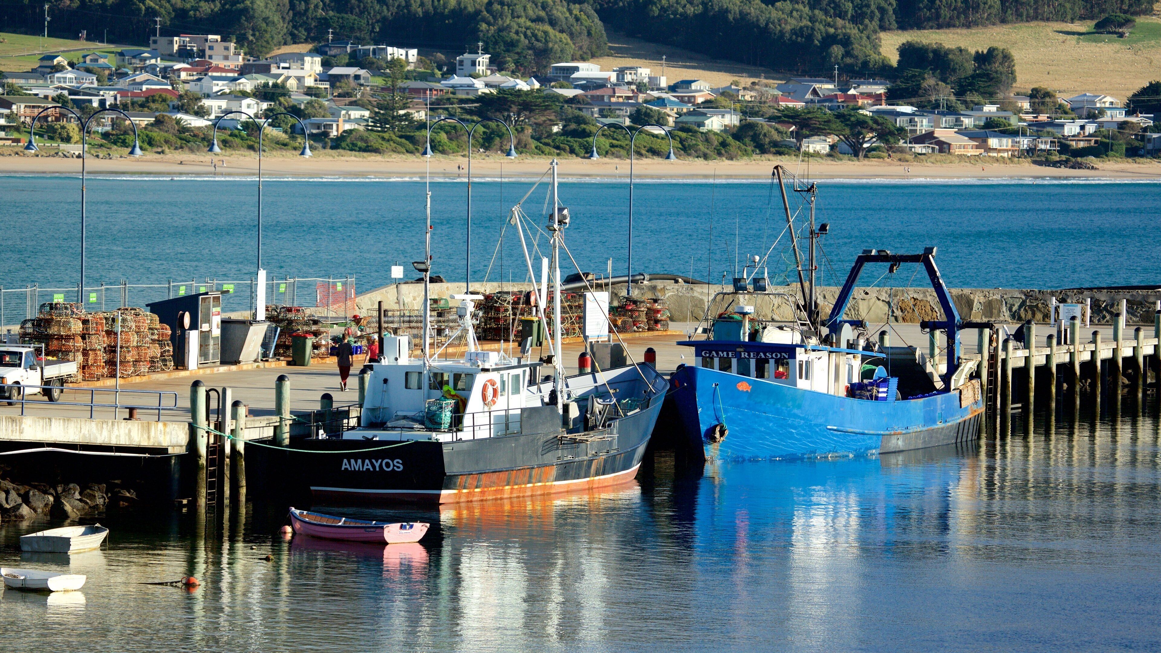 Port d\'Apollo Bay montrant marina et navigation
