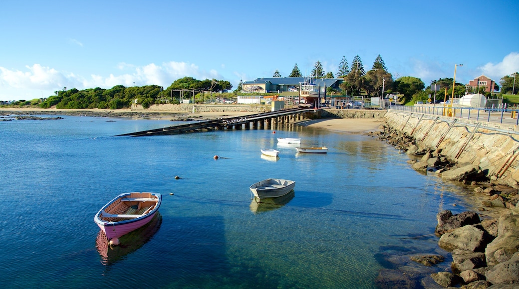 阿波羅灣港 设有 綜覽海岸風景 和 划船