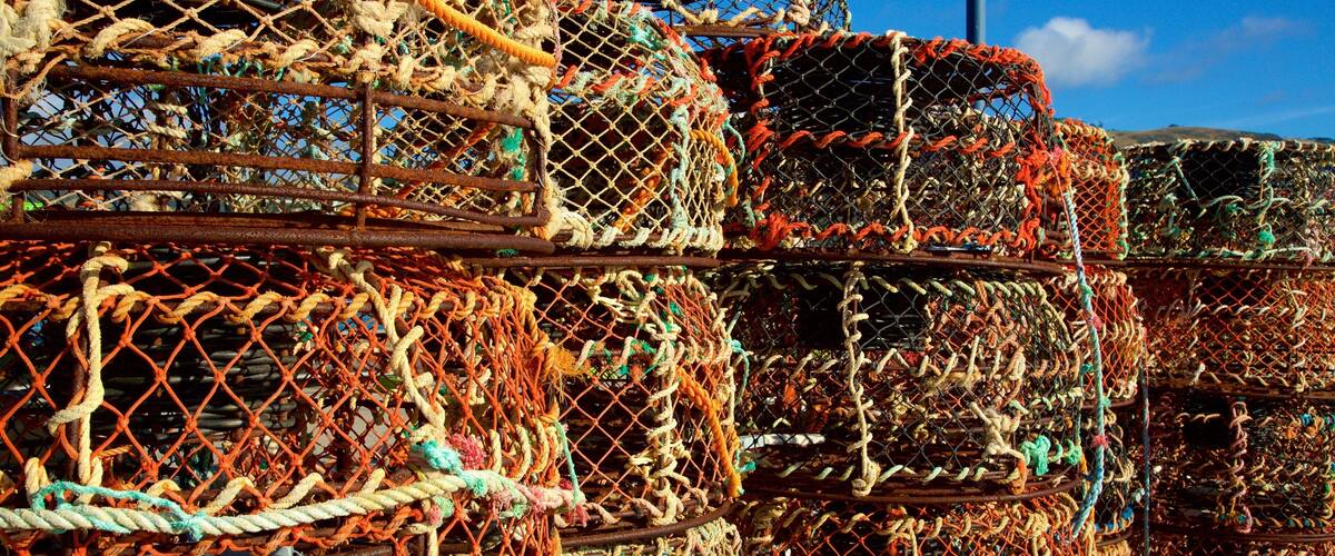 Apollo Bay Harbour showing fishing