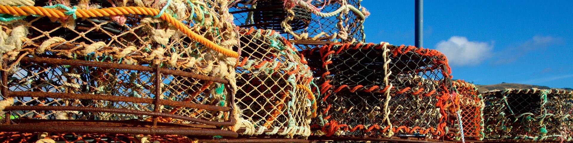 Stacks of colorful lobster traps.