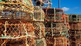 Stacks of colorful lobster traps.