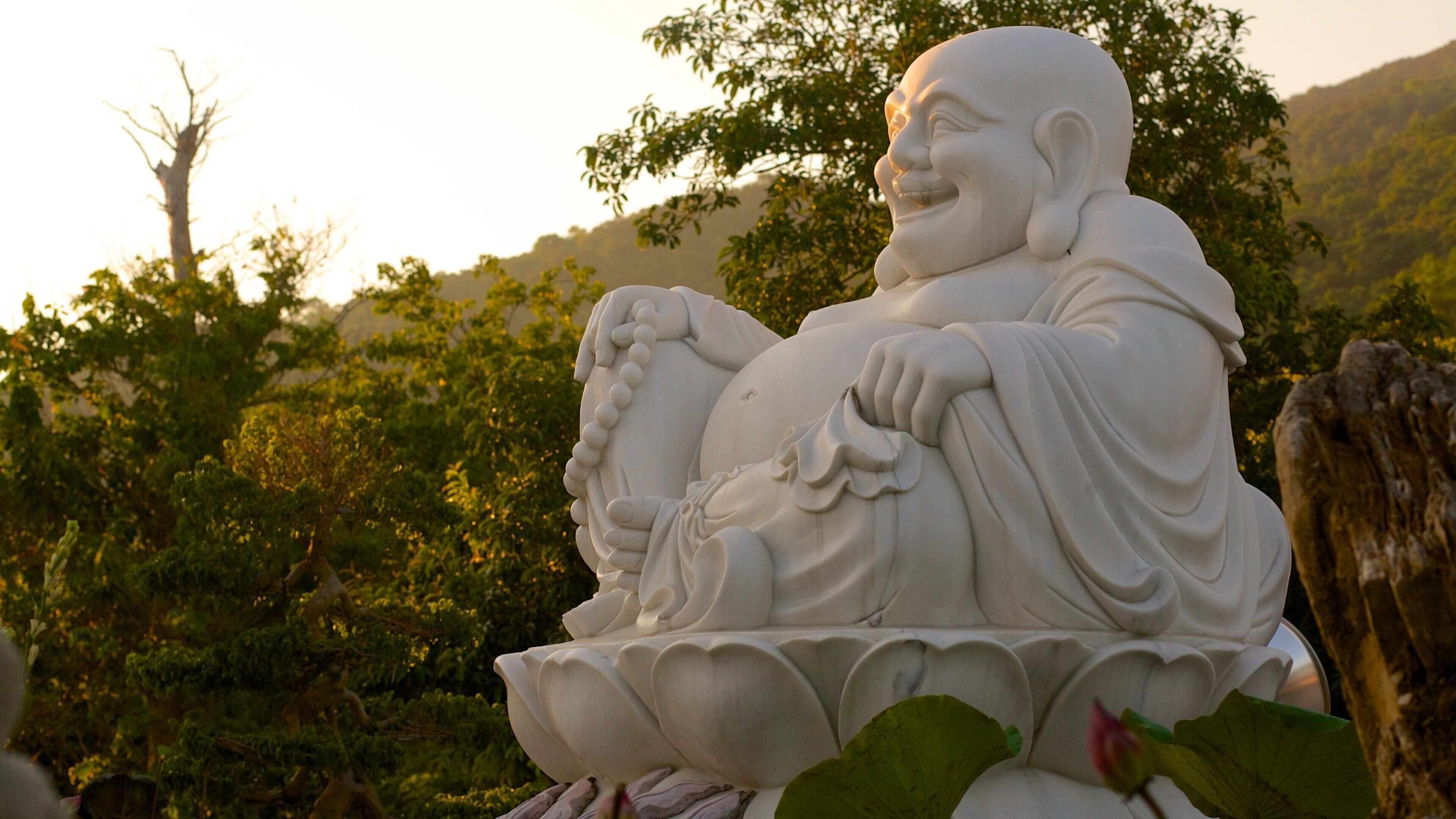 Montagna di Son Tra mostrando parco e statua o scultura