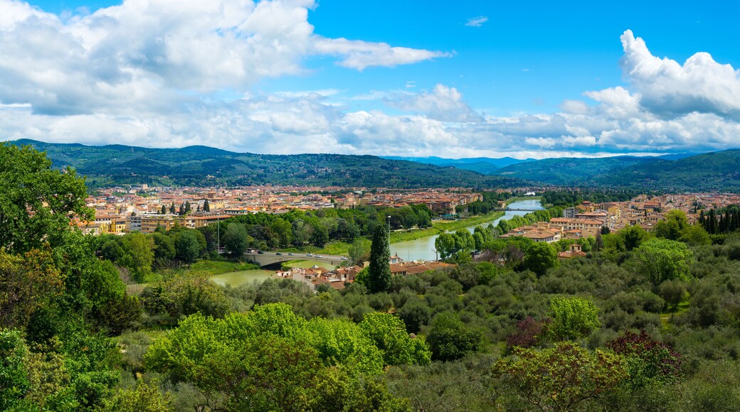 Wonderful view of the Coverciano and Gavinana areas of Florence. Tuscany