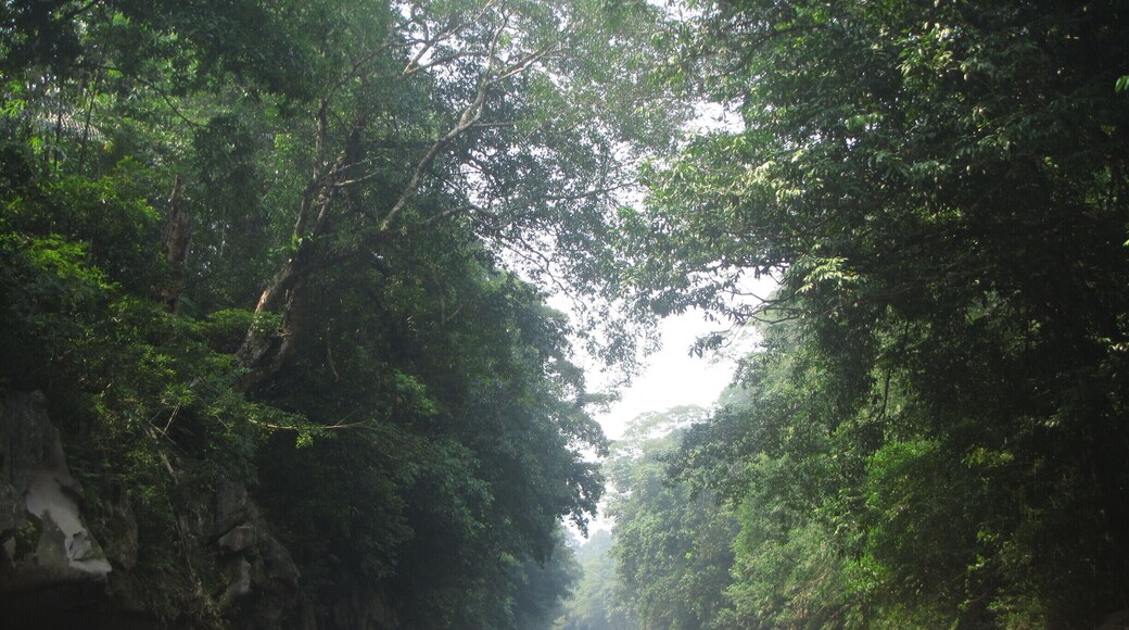 14 km of river kayaking