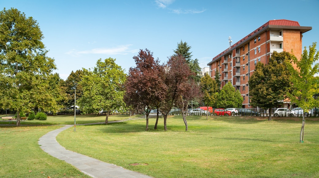 Isolotto featuring a park