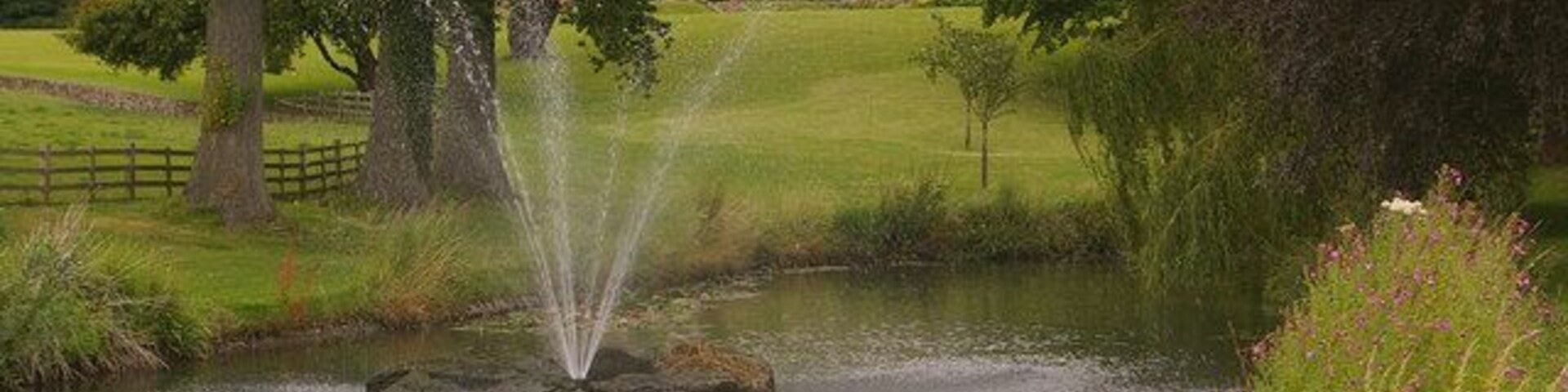 Upper pond, Titsey Place Created by Granville Levesen Gower in the late 19th century. Note the black swan.