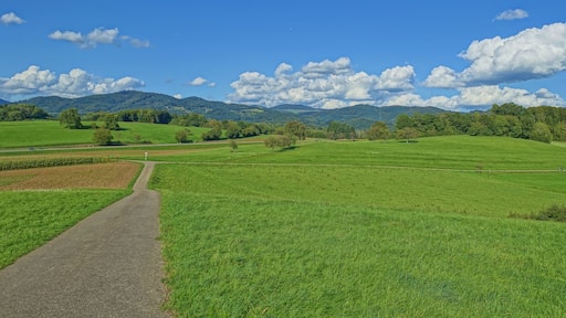 Landschaftsschutzgebiet Eichener See