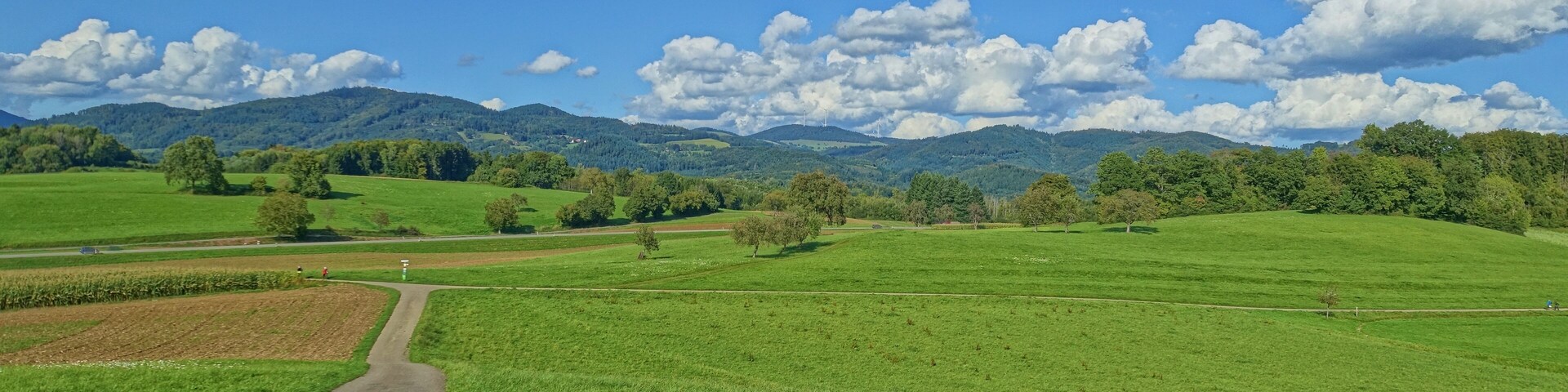 Landschaftsschutzgebiet Eichener See