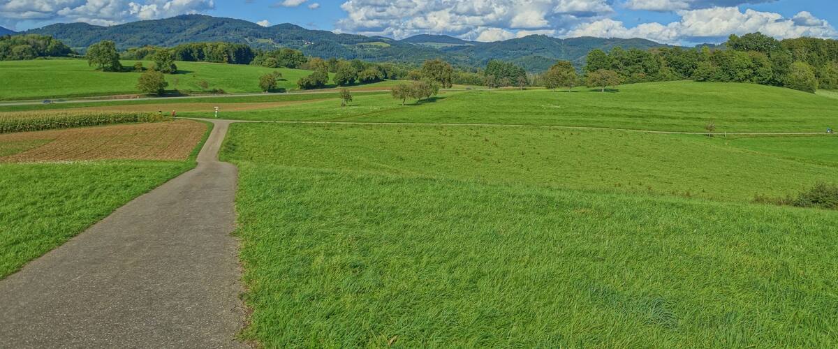 A rural landscape with a paved path, green fields, and distant mountains under a clear blue sky.