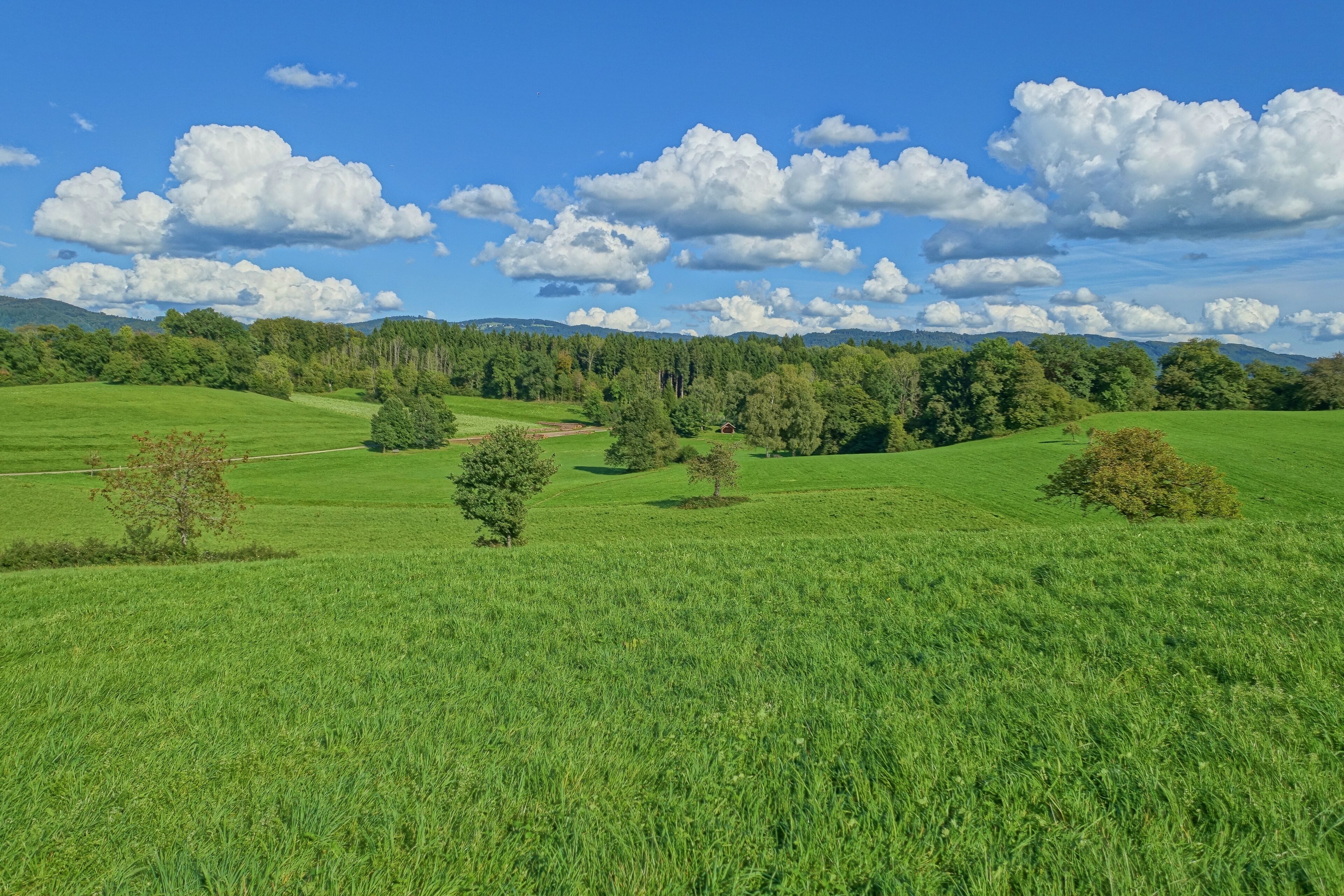 Landschaftsschutzgebiet Eichener See