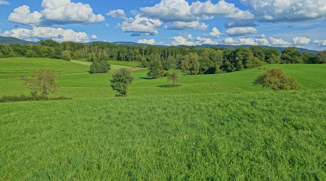 Landschaftsschutzgebiet Eichener See