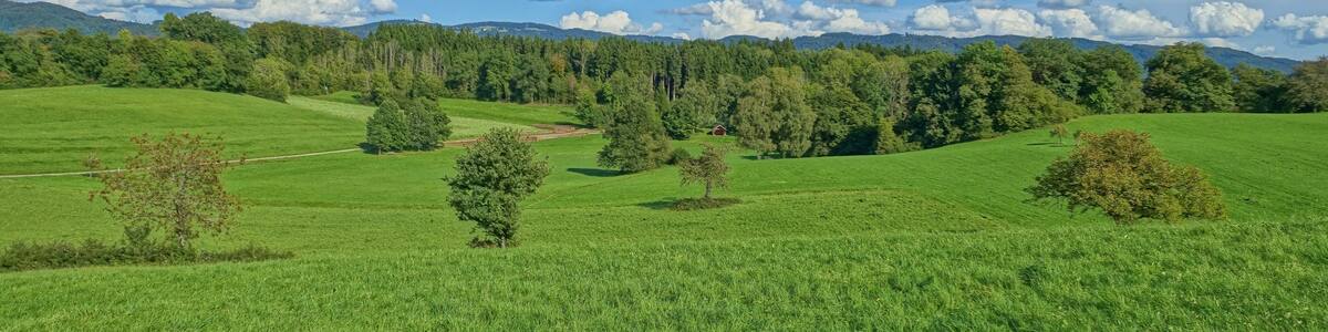 Landschaftsschutzgebiet Eichener See