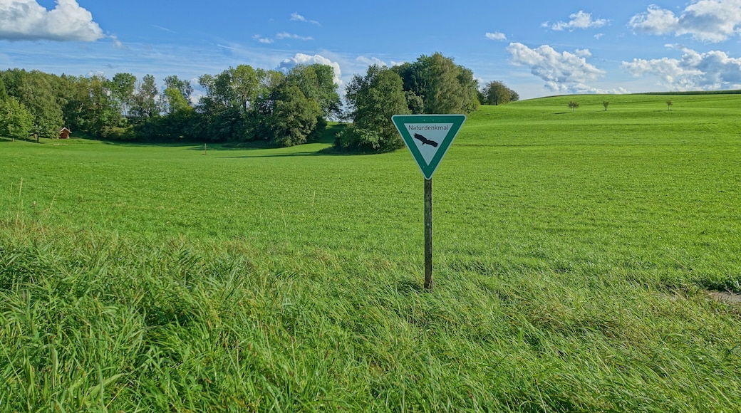 Landschaftsschutzgebiet Eichener See