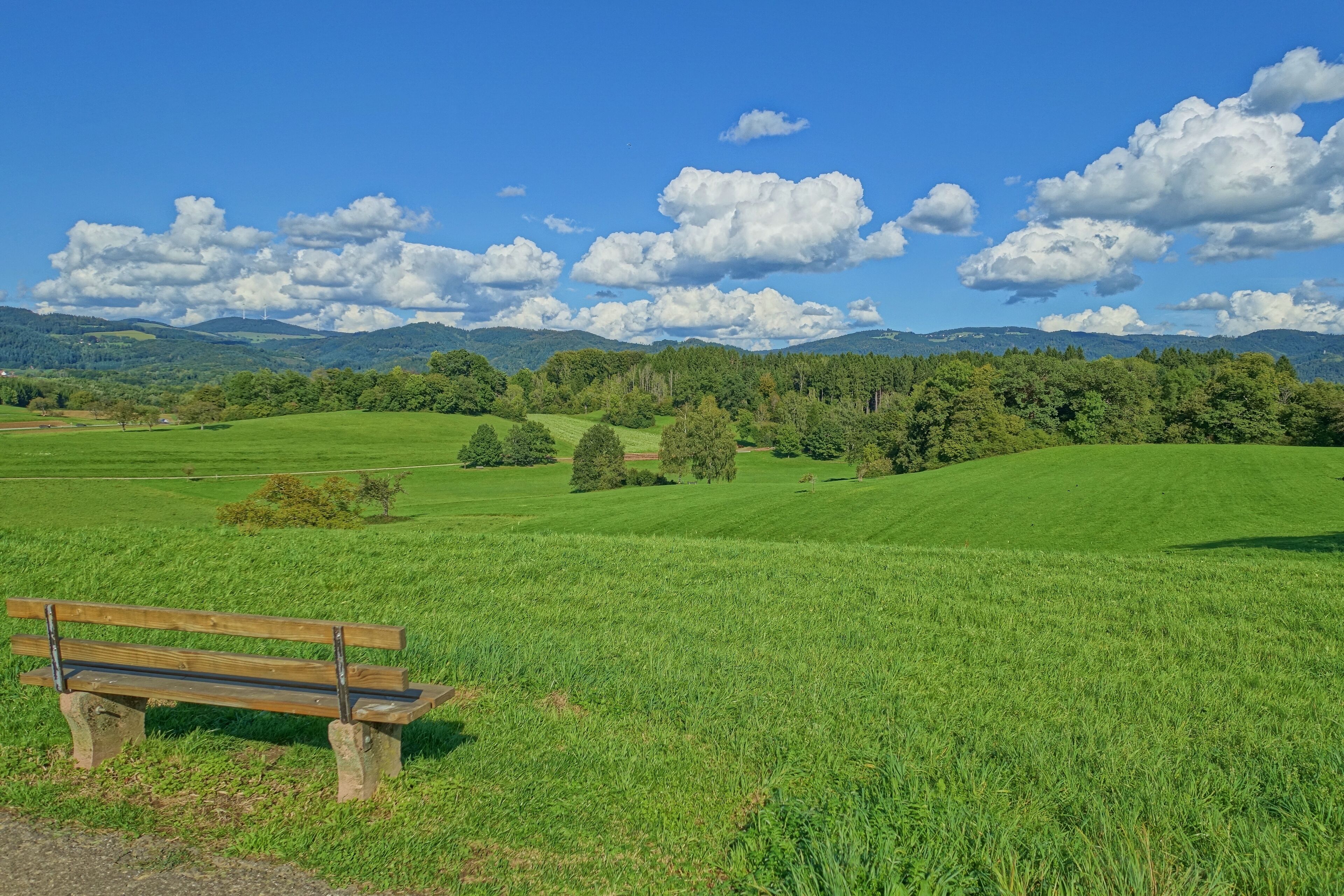 Landschaftsschutzgebiet Eichener See
