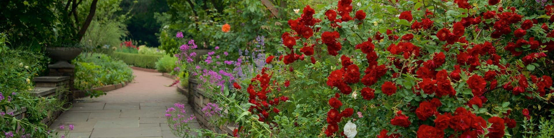 Botanische Gärten Brooklyn