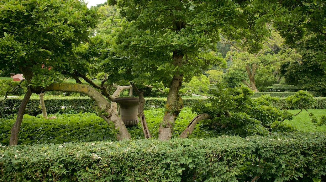 Brooklyn Botanic Gardens featuring a park