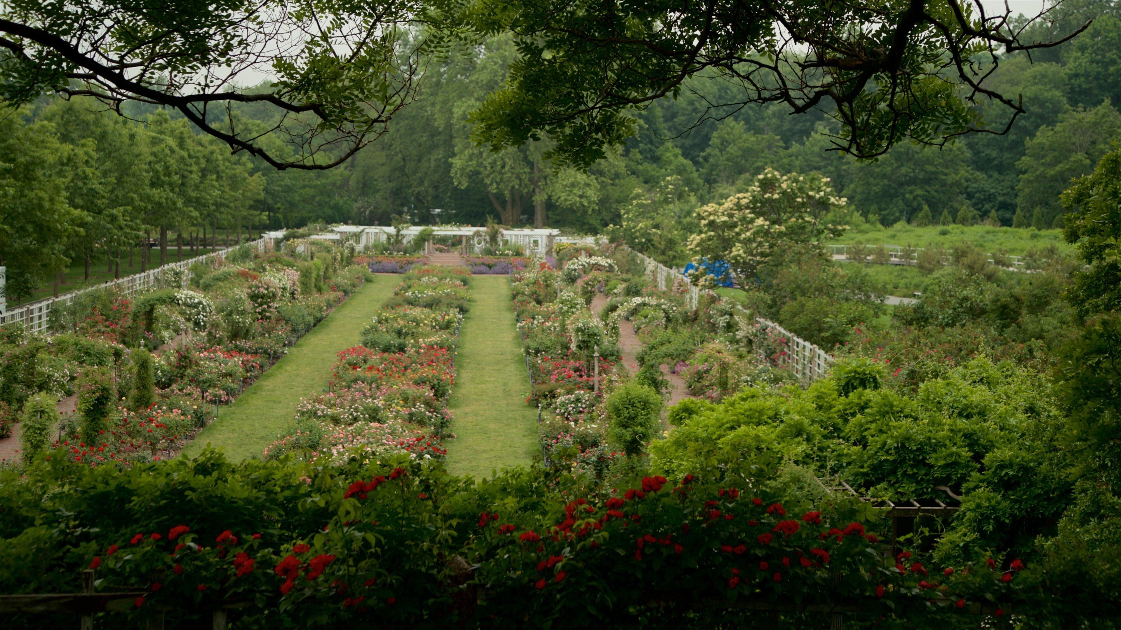 Brooklyn Botanic Gardens