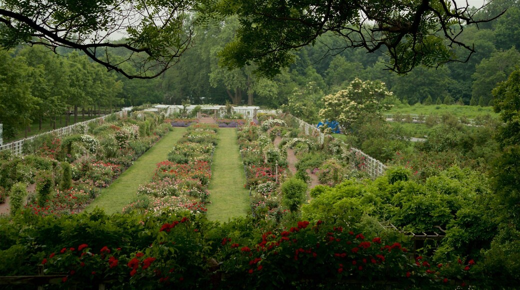 Brooklyn Botanic Gardens