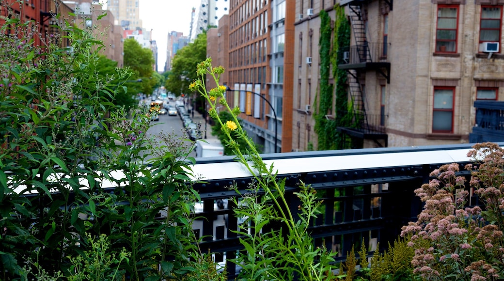 The High Line Park toont een stad en bloemen