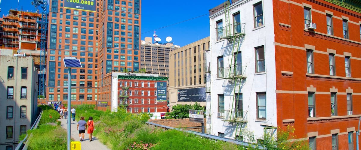 The High Line Park featuring a city