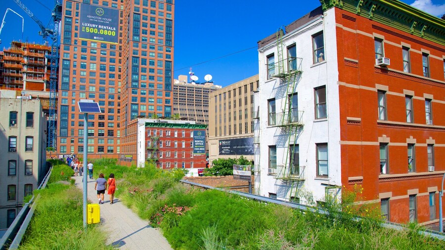 The High Line Park featuring a city